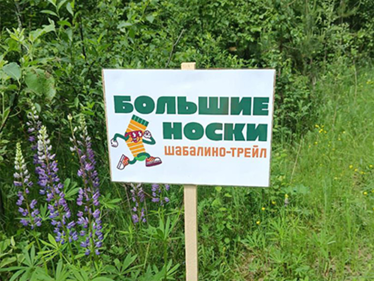 Добровольная народная дружина. Добровольная народная дружина.